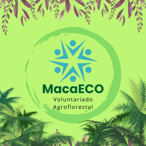 Production of fruit seedlings and planting in agroforestry systems
